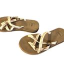 Teva Women's  Sandel Size 7‎ Photo 1