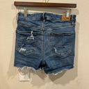 American Eagle Outfitters Shorts Photo 1