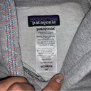 Patagonia  hoodie Photo 1