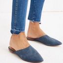 Madewell  Remi Mules in Blue Stamped Lizard leather women’s size 9.5 US Photo 0