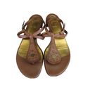 Cole Haan  Brown Leather Gladiator Ankle Strap Sandals Women's Size 6B Photo 1