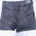 American Eagle Outfitters Short Photo 3