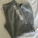 Abercrombie & Fitch Joggers Photo 0