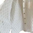 Daisy Vintage 70s  lace ruffle off white wide collar button down blouse size M Photo 3