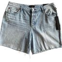 House of Harlow  1960 High Rise Mom Bermuda Shorts Photo 0