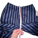 The Row STONE VOLCOM FUTURE ME STRIPE PANTS BLUE STRIPED HIGH WAISTED CROPPED ANKLE Photo 5