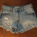 PacSun High Rise Festival Shorts Photo 0