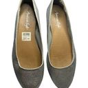 American Eagle  Silver Sparkle Ladies Ballet Flats size 7M Photo 0