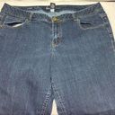 Lane Bryant  Skinny blue jeans size 18 Short Photo 1