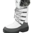 Dream Paris (Size 12) Dream Pairs Women Waterproof Winter Snow Boots Faux Fur Grey/Taupe Photo 0