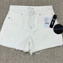 Articles of Society NWT  High Rise Shorts Photo 3