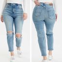 American Eagle NWT  Plus Size Ripped Cool Classic Mom Jeans Crop Ankle 16 Short Photo 9