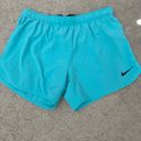 Nike Dri-Fit Shorts Photo 0