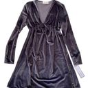 Goodnight Macaroon NWT  GREY VELVET DRESS SIZE SMALL Photo 0