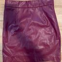 Pink Lily Leather Skirt Photo 0