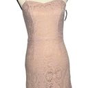 Dress the Population  leanne lace cocktail sheath mini dress pink medium new Photo 0