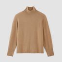 Everlane NWT  The Cashmere Oversized Turtleneck Photo 5