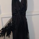 Windsor Black Lace Dress Photo 0