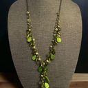 Coldwater Creek Shells And Beads Cluster Y Necklace Photo 0