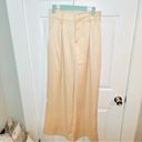 Aura Red Dress  Pretty And Polished Satin Wide Leg Pants Champagne Cream M NWT Photo 4