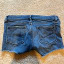 DL1961 Shorts Photo 2