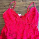 In Bloom  Sexy Lingerie Dress Gown Red Lace Skirt Ruffle Medium Floral Photo 4