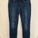 Pilcro and the Letterpress  Anthropologie SERIF Blue Stretch Skinny Jeans Womens 27 Photo 0