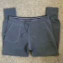 Patagonia  jogger style women’s medium gray lightweight sweatpants Photo 0