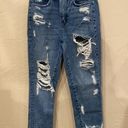 Vervet Flying Monkey Goodbye High Rise Mom Ripped Straight Jeans, Size 24 Photo 0