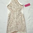 Luxxel  halter lace mesh dress Photo 2