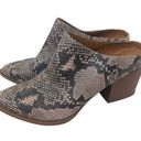 Dolcetta Dolce Vita  Animal Print Mules Size 6.5M Snake Print Python Slip On Rory Photo 0