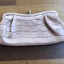 Banana Republic NWT  leather clutch Photo 0