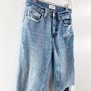 Pistola  Presley High Rise Distressed Relaxed Roller Jeans Denim Blue 24 Photo 7