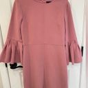 Ann Taylor  Pink Crew Neck Bell Ruffle Sleeve Professional Shift Dress Size 4 Photo 0