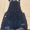 Overalls Size L Photo 0