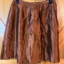 Barney’s New York Barneys New York CO-OP Women metallic brown ￼ Pleated Skirt Size 0 Nwt Photo 0