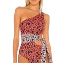 Beach Riot One Piece Leopard Swim Photo 4