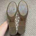 Rampage  Floral Embroidered Sheer Mesh and Taupe Suede Ballet Flats Size 8.5 Photo 1