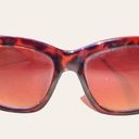 American Eagle  outfitters tortoise frame brown tint sunglasses Photo 5