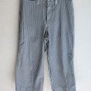 Madewell  Emmett Wide-Leg Crop Pants in Herringbone Railroad Stripe Sz 31 Photo 2