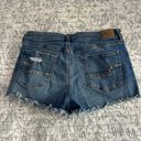 American Eagle Shorts Photo 1