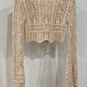 Francesca's Long Sleeve Crochet Top Photo 2