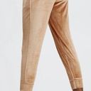 Fabletics  Luxe Velour Jogger Pants Light Honey PLUS Photo 1