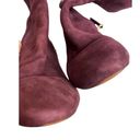 Ralph Lauren Lauren by  Suede Atherton Burgundy Tall Boots Sz. 10 Photo 9