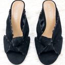 Jack Rogers  Holly Suede Mule Black size 6 Photo 1