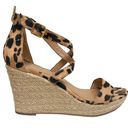 Charlotte Russe  Leopard Cross Strap Espadrille Wedge Sandals Photo 0