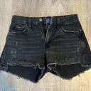 Arizona Black Jean Shorts Photo 0