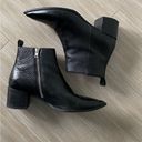 Everlane  Zip up leather ankle booties 8 Photo 4