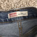 Levi Strauss & CO. High Waisted Shorts Photo 1