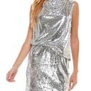 TCEC Sequin Dress Photo 0